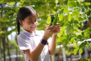 ซัมซุง ร่วมสนับสนุนโครงการพัฒนากล้องจุลทรรศน์จากสมาร์ทโฟน โดยคณะวิทย์ จุฬาฯ ส่งเสริมการศึกษาวิทยาศาสตร์ใน 2,500 โรงเรียนชายขอบทั่วประเทศ, Whale Energy Station