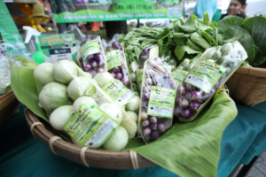 โตควบคู่ “ชุมชน-สังคม-สิ่งแวดล้อม” ถอดรหัส “OR” สู่ธุรกิจยั่งยืน, Whale Energy Station