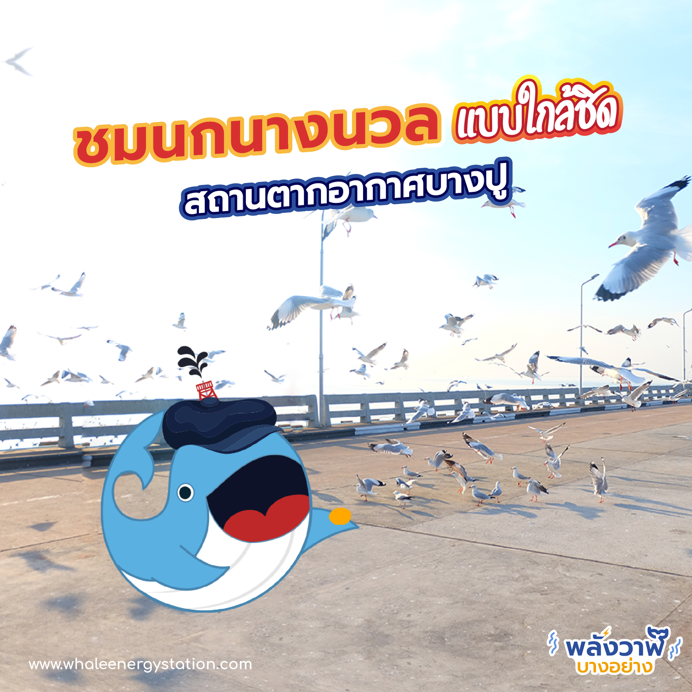5 ที่เที่ยวรับลมหนาวใกล้กรุงเทพฯ, Whale Energy Station