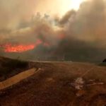 ปี 2563 เป็น 1 ใน 3 ปีที่ร้อนที่สุด, Whale Energy Station