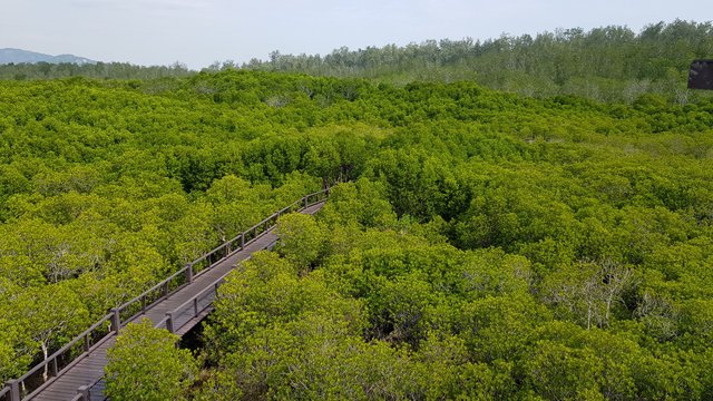 เก็บเข้าลิสต์! หมดโควิดแล้วเจอกัน : 11 สถานที่ท่องเที่ยวธรรมชาติ สูดอากาศบริสุทธิ์ให้เต็มปอด, Whale Energy Station