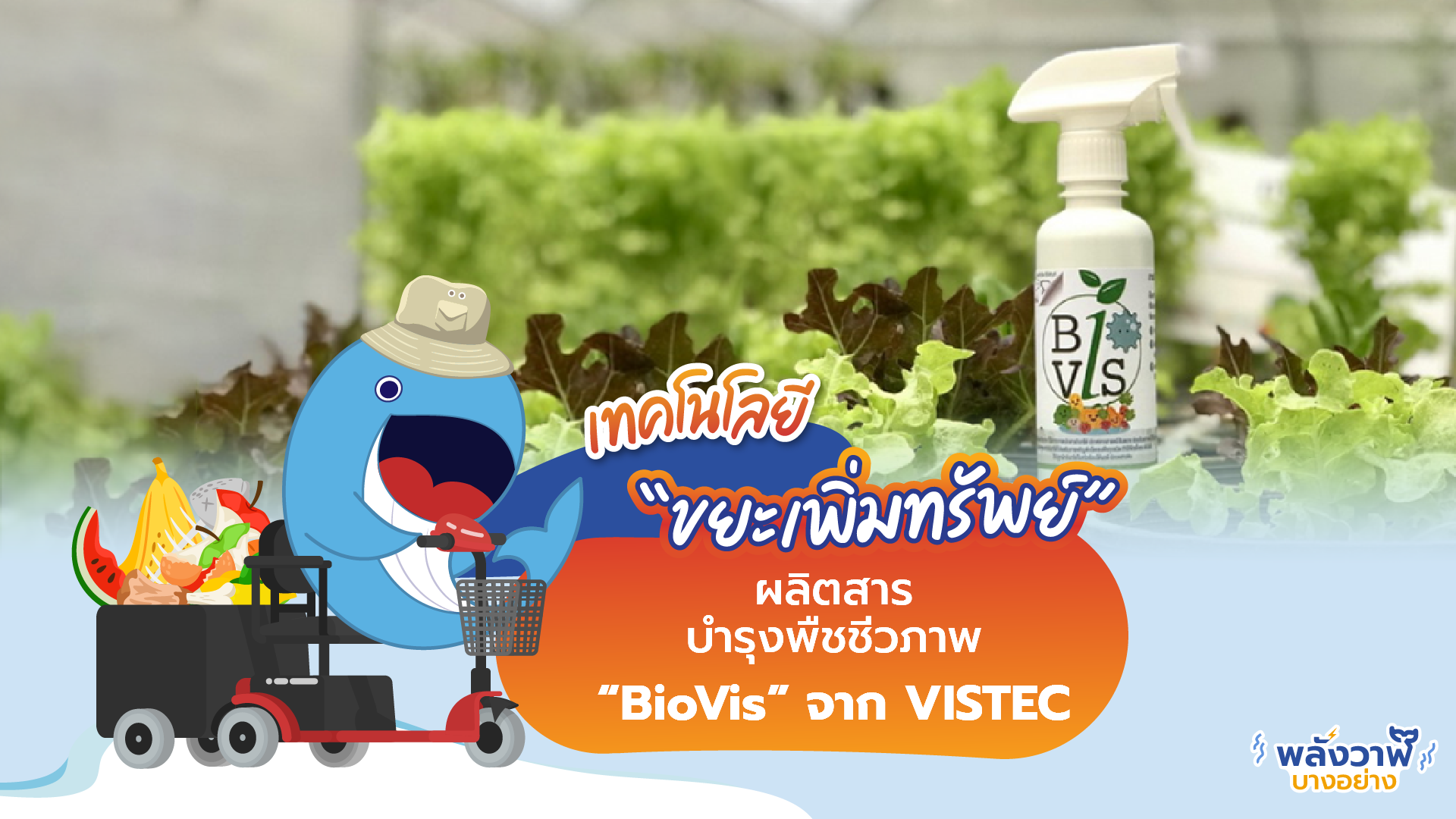 เทคโนโลยี &ldquo;ขยะเพิ่มทรัพย์&rdquo; ผลิตสารบำรุงพืชชีวภาพ “BioVis” จาก VISTEC, Whale Energy Station