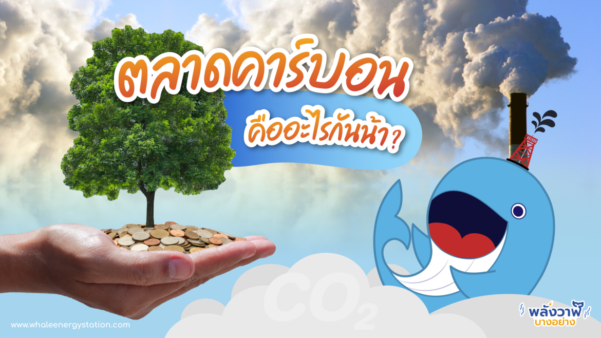 ตลาดคาร์บอน คืออะไรกันน้า?