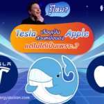 รู้ไหม? Tesla เกือบเป็นส่วนหนึ่งของ Apple แต่ไม่ได้เป็นเพราะ..?, Whale Energy Station