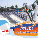 ฉนวนพ่นเคลือบหลังคาโสะเซย์เป็นมิตรต่อสิ่งแวดล้อม, Whale Energy Station