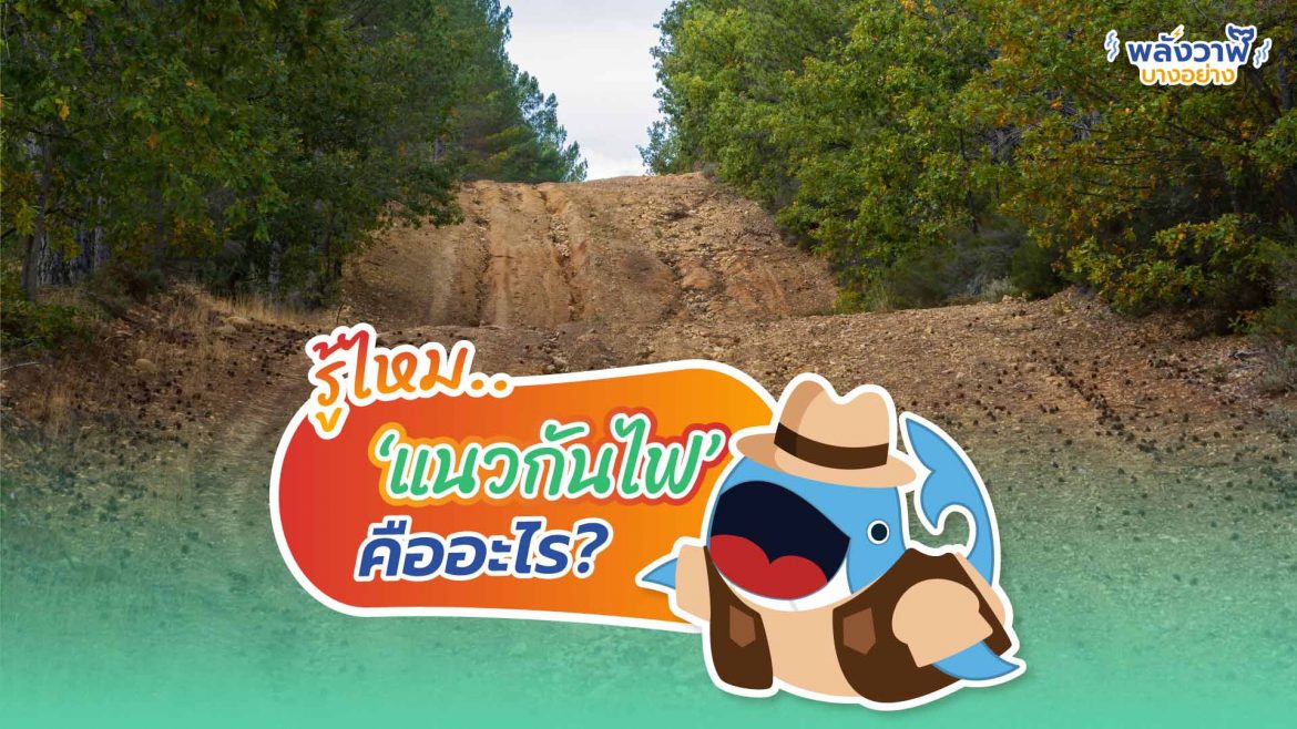 รู้ไหม.. ‘แนวกันไฟ’ คืออะไร?