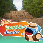 รู้ไหม.. ‘แนวกันไฟ’ คืออะไร?, Whale Energy Station