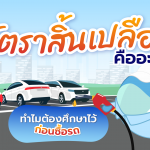 อัตราสิ้นเปลืองคืออะไร?, Whale Energy Station