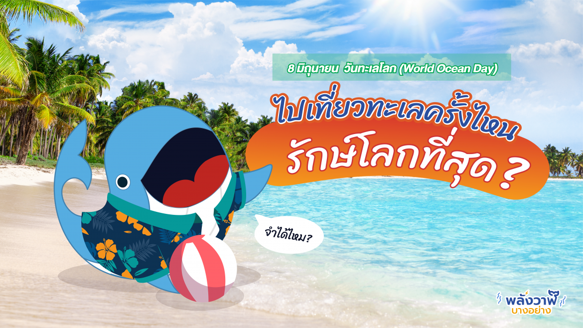 8 มิถุนายน วันทะเลโลก (World Ocean Day) ไปเที่ยวทะเลครั้งไหน รักษ์โลกที่สุด