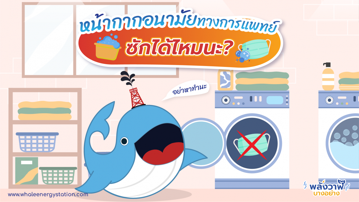 ข้อมูลในหมวด หน้ากากอนามัย | Whale Energy Station