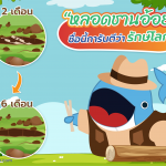 “หลอดชานอ้อย” ชื่อนี้การันตีว่ารักษ์โลก, Whale Energy Station