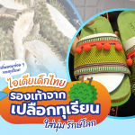 ไอเดียเด็กไทย &ldquo;รองเท้าจากเปลือกทุเรียน&rdquo; ใส่นุ่ม รักษ์โลก, Whale Energy Station