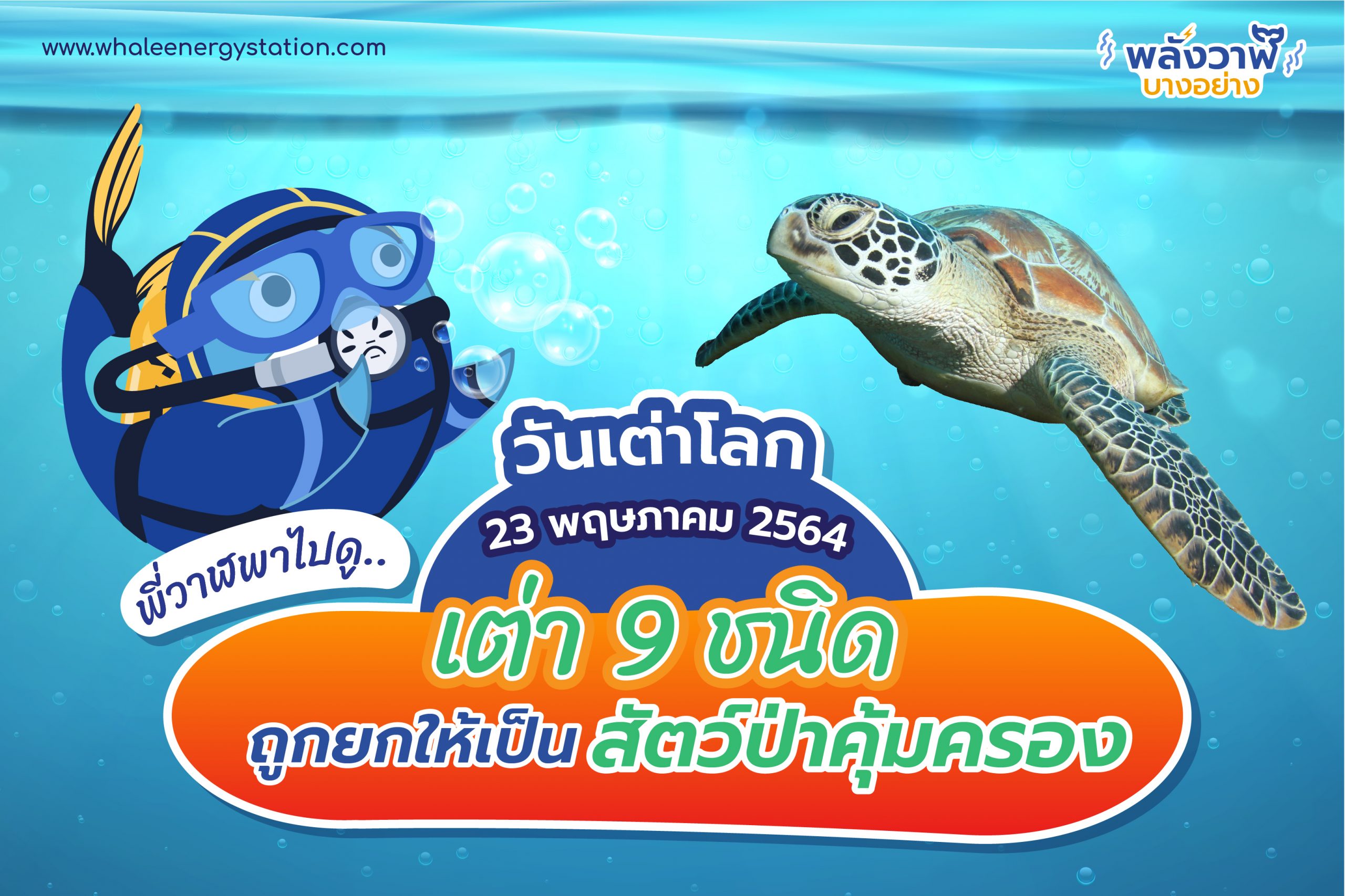 วันเต่าโลก 23 พฤษภาคม 2564 พี่วาฬพาไปดู…เต่า 9 ชนิดถูกยกให้เป็นสัตว์ป่าคุ้มครอง, Whale Energy Station