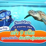 วันเต่าโลก 23 พฤษภาคม 2564 พี่วาฬพาไปดู…เต่า 9 ชนิดถูกยกให้เป็นสัตว์ป่าคุ้มครอง, Whale Energy Station