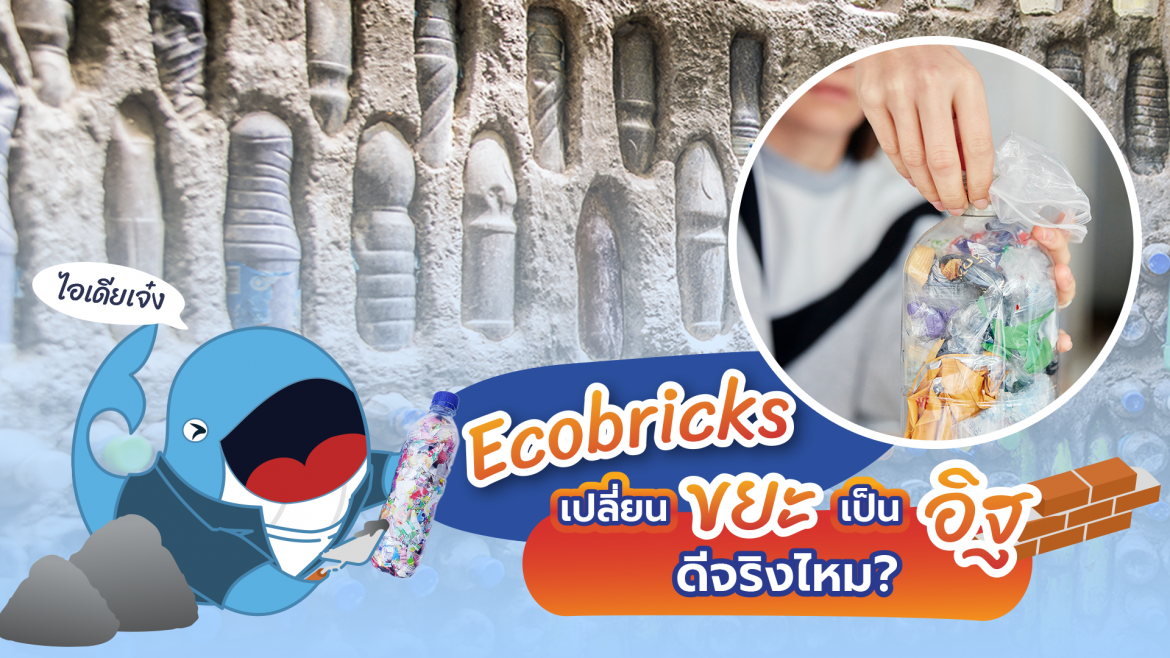 Ecobricks เปลี่ยนขยะเป็นอิฐดีจริงไหม?