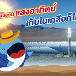 พลังงานแสงอาทิตย์ เก็บในเกลือก็ได้นะ, Whale Energy Station