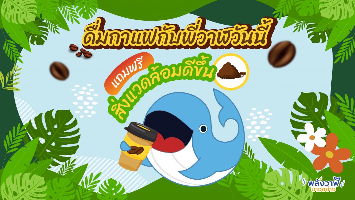 ดื่มกาแฟกับพี่วาฬวันนี้ แถมฟรีสิ่งแวดล้อมดีขึ้น