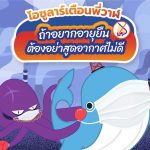 โอซูลาร์เตือนพี่วาฬ ถ้าอยากอายุยืนอย่าสูดอากาศไม่ดี, Whale Energy Station