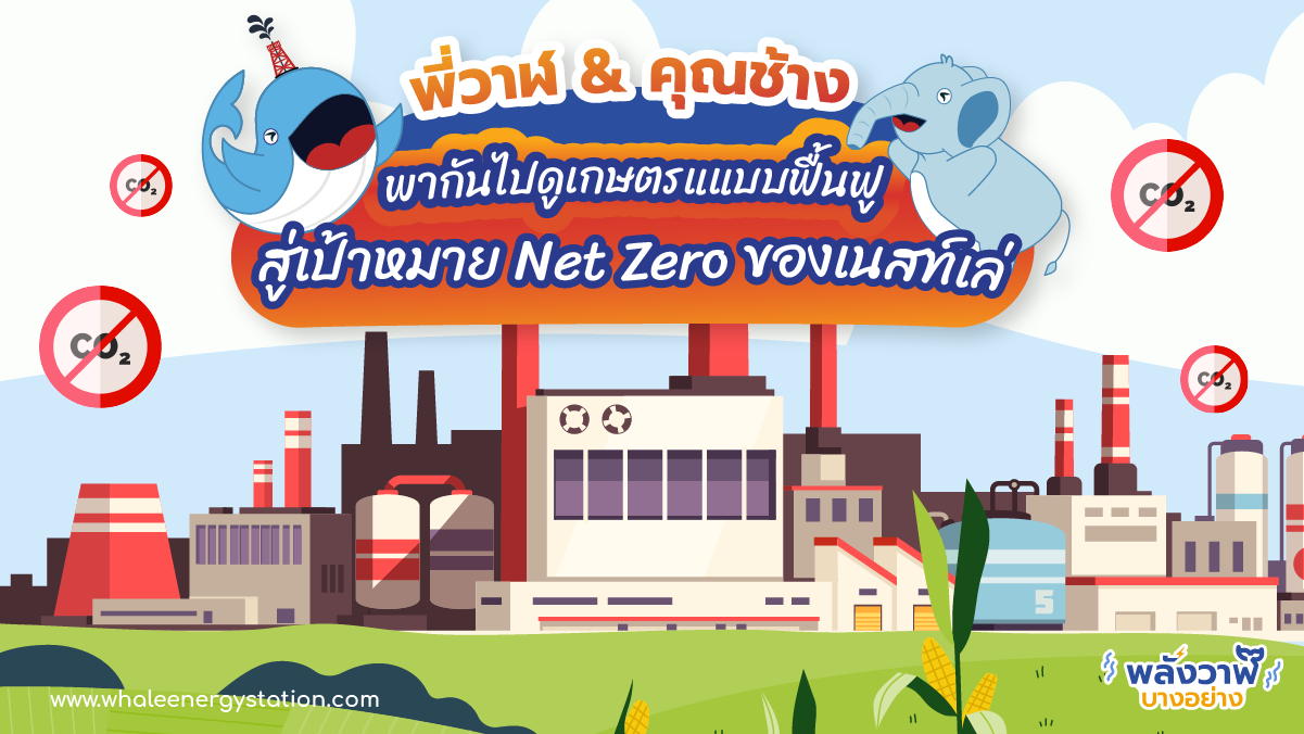 พี่วาฬ &amp; คุุณช้าง พากันไปดูเกษตรแแบบฟื้นฟูสู่เป้าหมาย Net Zero ของเนสท์เล่, Whale Energy Station