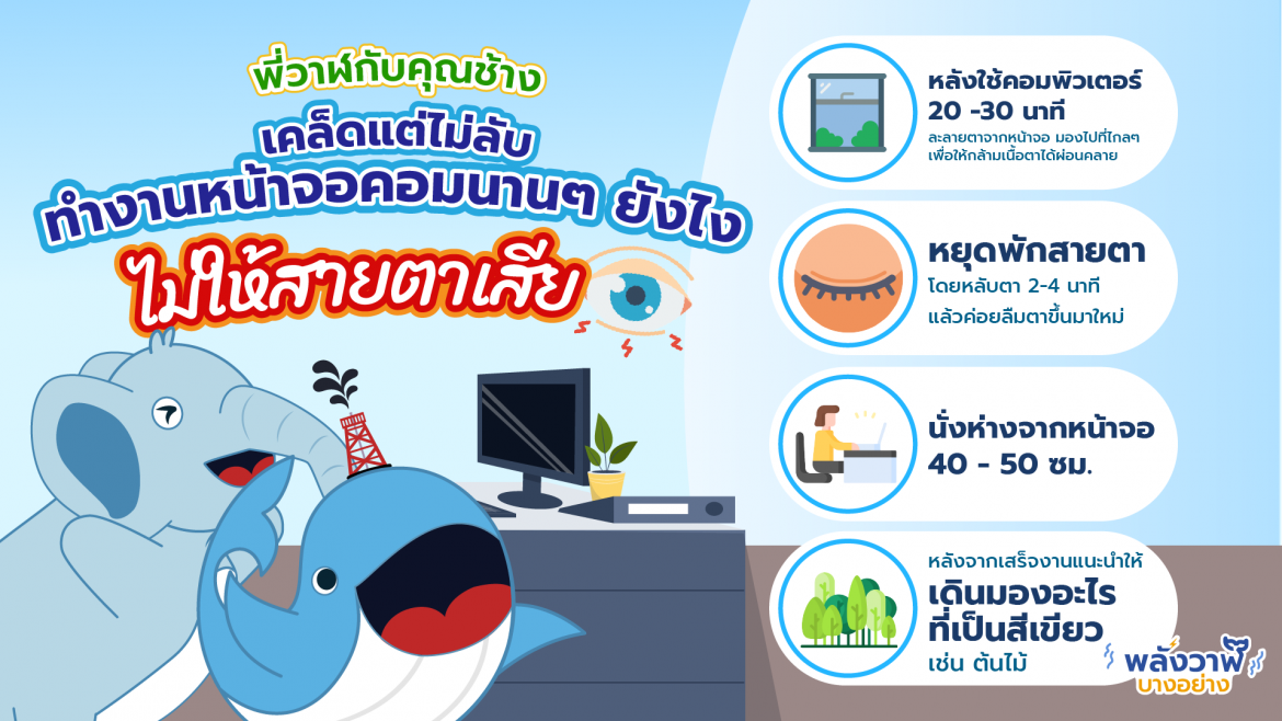 พี่วาฬกับคุณช้าง เคล็ดแต่ไม่ลับ ทำงานหน้าจอคอมนานๆ ยังไงไม่ให้สายตาเสีย