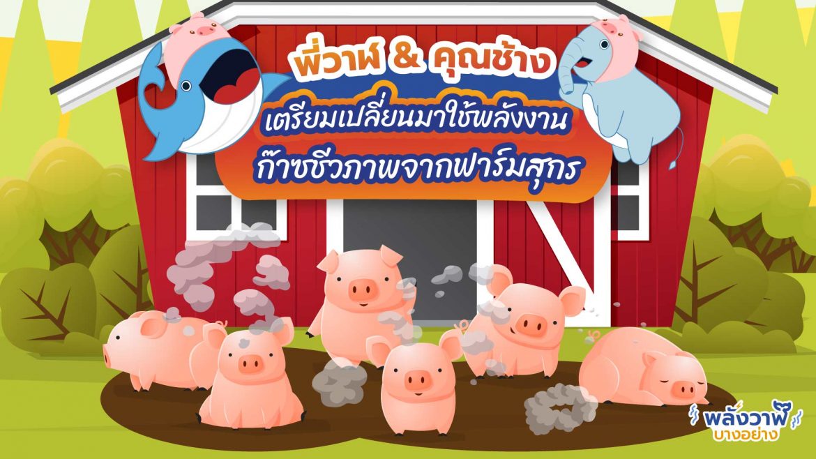 พี่วาฬ & คุณช้าง เตรียมเปลี่ยนมาใช้พลังงานก๊าซชีวภาพจากฟาร์มสุกร