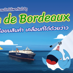 พี่วาฬ & มาดามโดโด้พากันไปดู Ville de Bordeaux เรือขนสินค้าเคลื่อนที่ได้ด้วยว่าว, Whale Energy Station