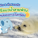 คุณช้าง & พี่วาฬชวนกัน #Saveแมวน้ำลายพิณ เหยื่อใหม่ของภาวะโลกร้อน, Whale Energy Station