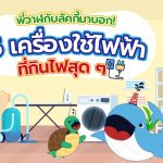 พี่วาฬกับลัคกี้มาบอก!! 5 เครื่องใช้ไฟฟ้าที่กินไฟสุด ๆ, Whale Energy Station