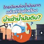ไทยมีแหล่งน้ำมันมาก แล้วทำไมยังต้องนำเข้าน้ำมันดิบ?, Whale Energy Station