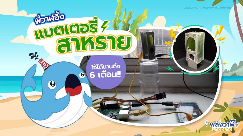 พี่วาฬอึ้ง แบตเตอรี่จาก สาหร่าย ใช้ได้นานถึง 6 เดือน!!, Whale Energy Station