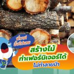 พี่วาฬอึ้งไปเลย สร้างไม้ทำเฟอร์นิเจอร์ได้ ไม่ทำลายป่า, Whale Energy Station