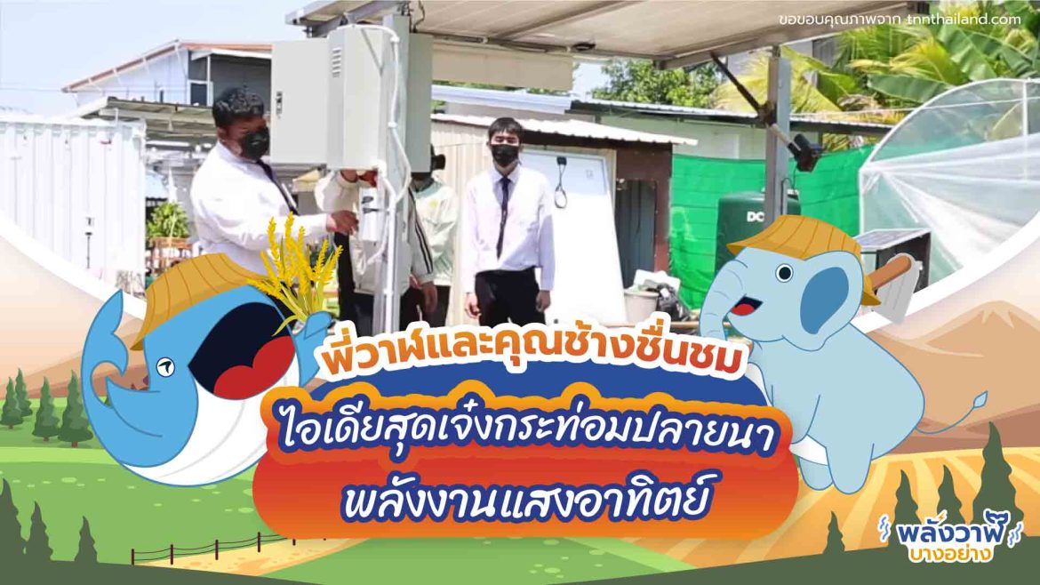 พี่วาฬและคุณช้างชื่นชม ไอเดียสุดเจ๋งกระท่อมปลายนาพลังงานแสงอาทิตย์