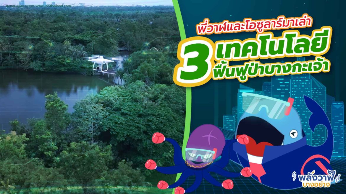พี่วาฬและโอซูลาร์มาเล่า 3 เทคโนโลยีฟื้นฟูป่าบางกะเจ้า