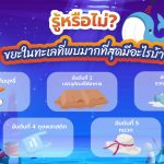 รู้หรือไม่? ขยะในทะเลที่พบมากที่สุดมีอะไรบ้าง, Whale Energy Station