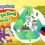 พี่วาฬและโอซูลาร์มาเล่า Upcycling คืออะไร?, Whale Energy Station