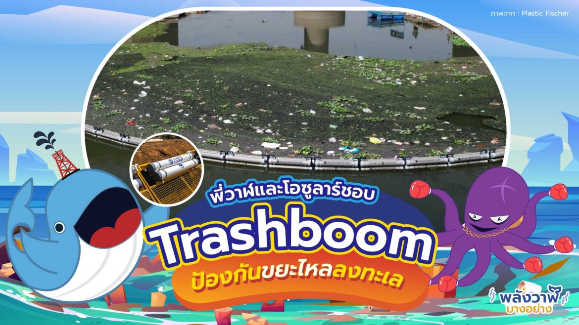 พี่วาฬและโอซูลาร์ชอบ Trashboom ป้องกันขยะไหลลงทะเล