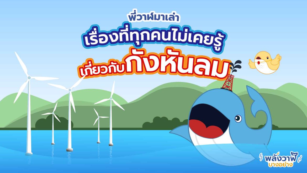 พี่วาฬมาเล่า เรื่องที่ทุกคนไม่เคยรู้เกี่ยวกับกังหันลม