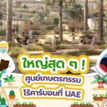 ใหญ่สุด ๆ ! ศูนย์เกษตรกรรมไร้คาร์บอนที่ UAE, Whale Energy Station