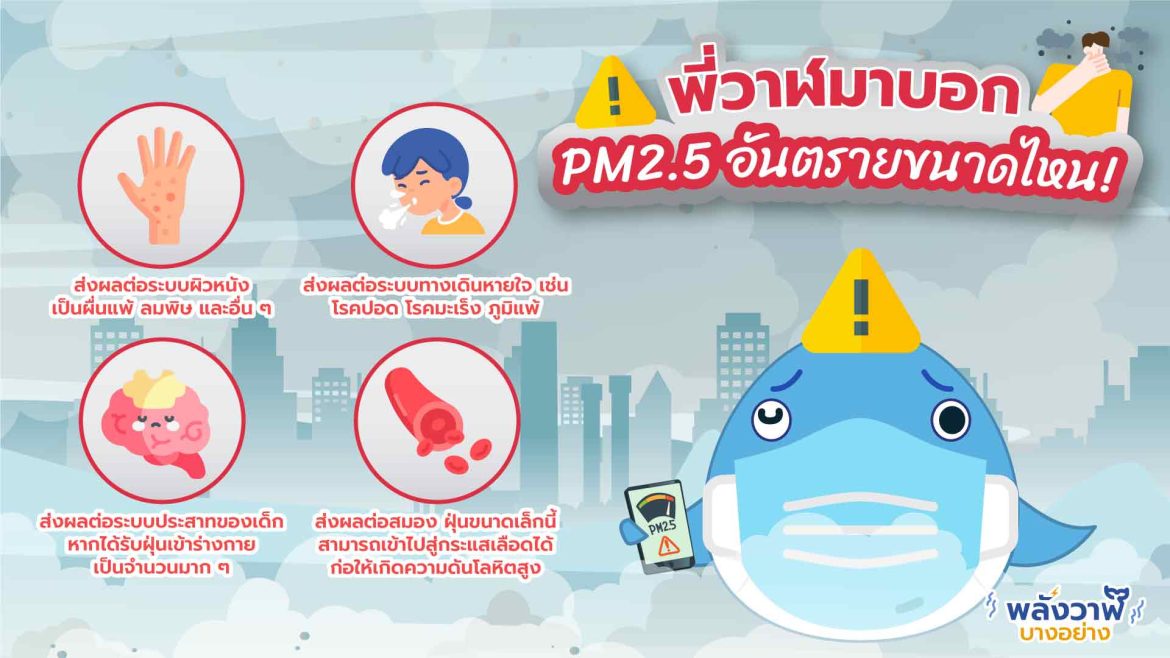 พี่วาฬมาบอก PM2.5 อันตรายขนาดไหน!