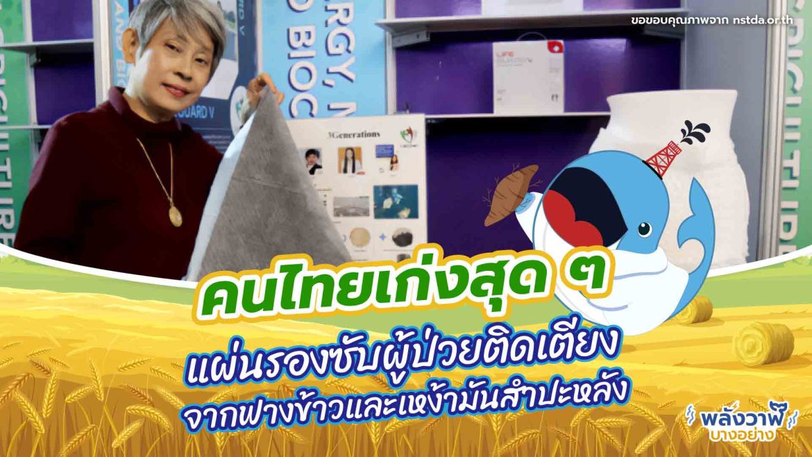 คนไทยเก่งสุด ๆ แผ่นรองซับผู้ป่วยติดเตียงจากฟางข้าวและเหง้ามันสำปะหลัง