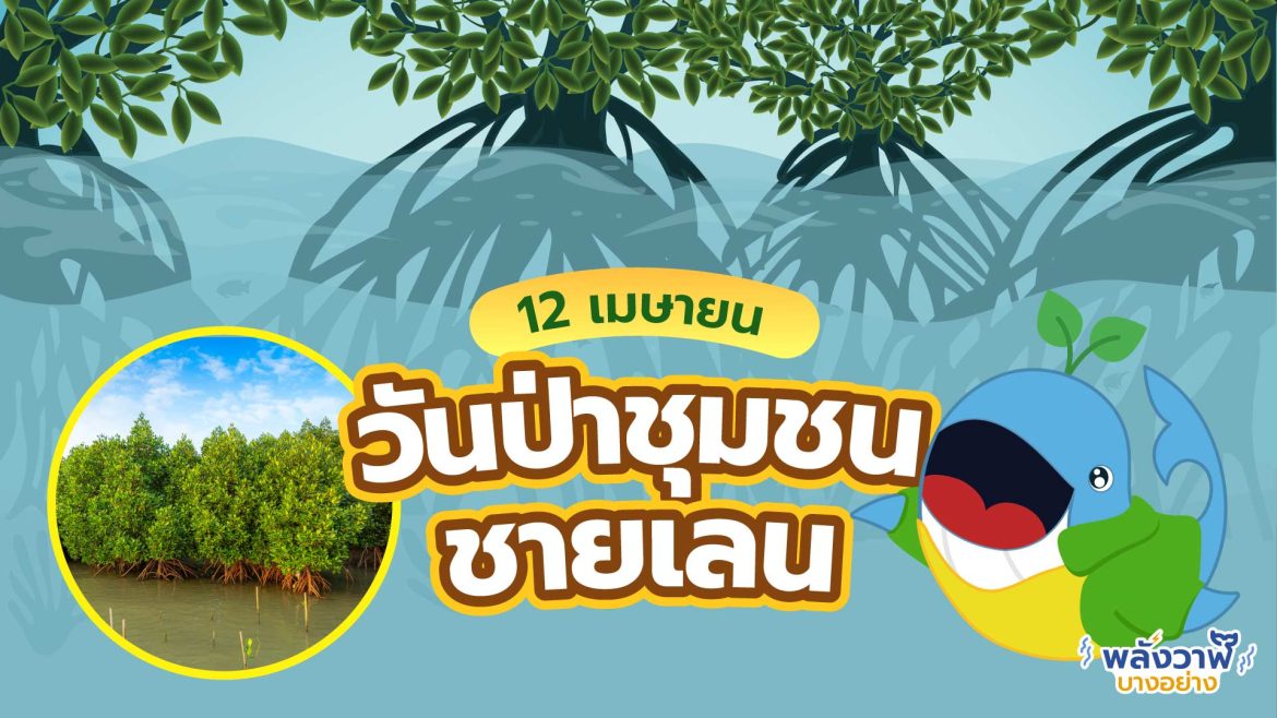12 เมษา วันป่าชุมชนชายเลน