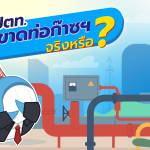 ปตท. ผูกขาดท่อก๊าซฯ จริงหรือ ​?, Whale Energy Station