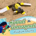 หุ่นยนต์นำทางลูกเต่าคืนสู่มหาสมุทร, Whale Energy Station