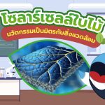 โซลาร์เซลล์ใบไม้  นวัตกรรมเป็นมิตรกับสิ่งแวดล้อม, Whale Energy Station