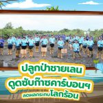 ปลูกป่าชายเลน ดูดซับก๊าซคาร์บอนฯ ลดผลกระทบโลกร้อน, Whale Energy Station