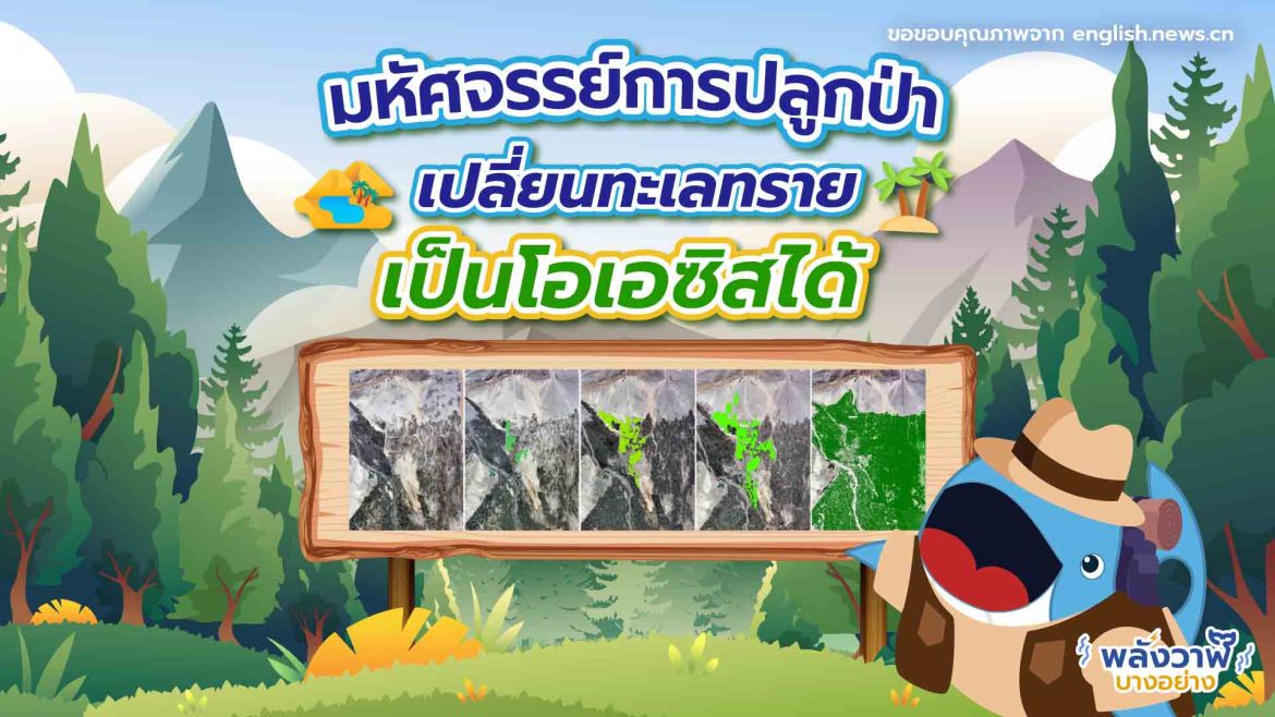 มหัศจรรย์การปลูกป่า เปลี่ยนทะเลทรายเป็นโอเอซิสได้