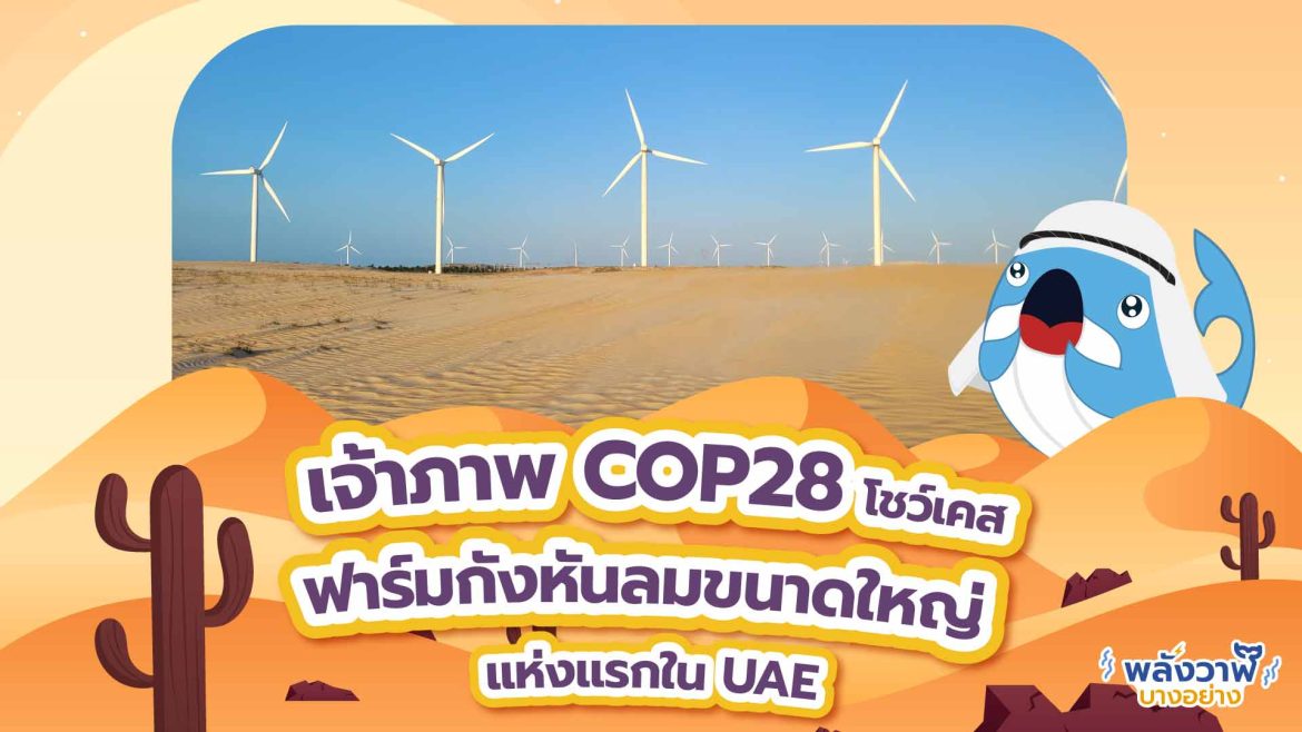 เจ้าภาพ COP28 โชว์เคส ฟาร์มกังหันลมขนาดใหญ่แห่งแรกใน UAE
