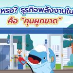จริงเหรอ? ธุรกิจพลังงานในไทยคือ &ldquo;ทุนผูกขาด&rdquo;, Whale Energy Station