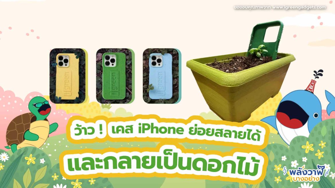 ว้าว ! เคส iPhone ย่อยสลายได้และกลายเป็นดอกไม้