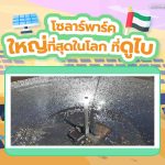 โซลาร์พาร์คใหญ่ที่สุดในโลก ที่ดูไบ, Whale Energy Station
